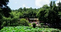 長沙出發(fā)到花明樓、韶山、張家界國家森林公園、天門仙山國家森林公園四日游