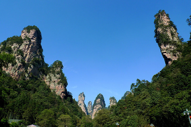 張家界國家森林公園、黃龍洞、天門山、鳳凰古城純玩五日游